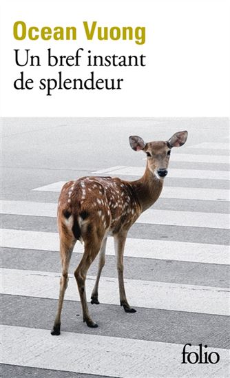 Un bref instant de splendeur **CHOIX**