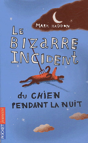 Bizarre incident du chien pendant la nuit, Le