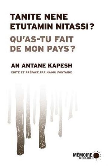 Qu'as-tu fait de mon pays?