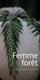 Sticky Image